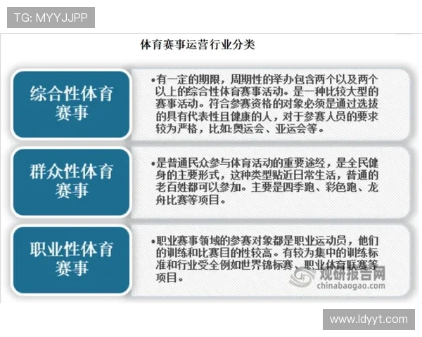 网球运动的魅力与挑战探索：从基础技巧到职业竞技的全面解析