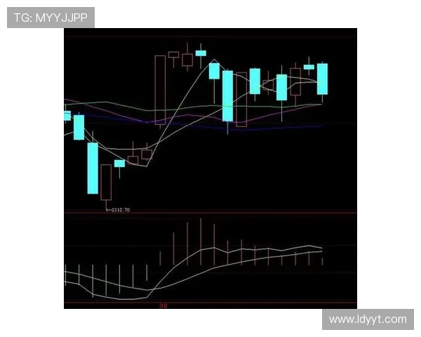 成都极限运动队的防守策略分析与比赛表现评估 成都极限运动队的防守策略分析与比赛表现评估